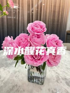 火龙珠怎么醒花 火龙珠鲜花的醒花方法