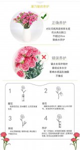 景天怎么醒花 景天鲜花醒花方法