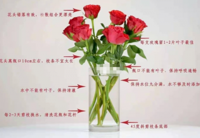 鲜花怎么保存时间长 如何延长鲜花的保存时间