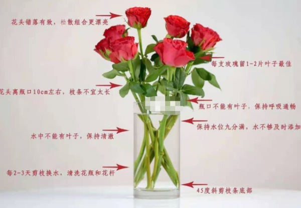 鲜花怎么保存时间长