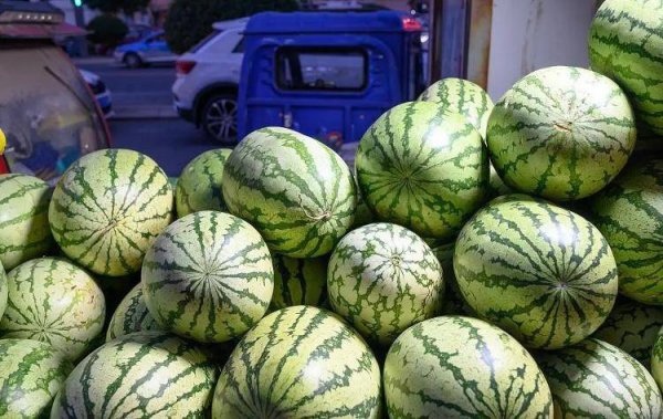宁夏西瓜什么时候成熟