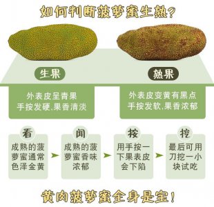 菠萝蜜怎么保存时间长 如何延长菠萝蜜的保存时间