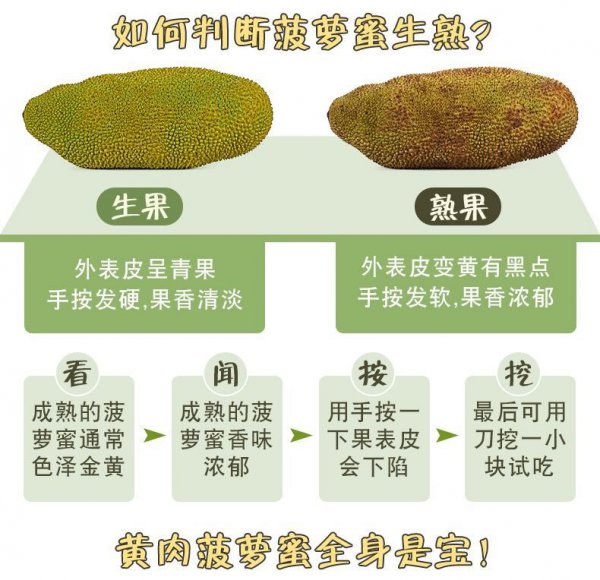 菠萝蜜怎么保存时间长