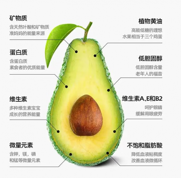 牛油果什么时候成熟