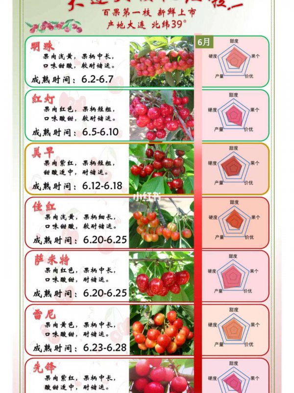 西安樱桃什么时候成熟