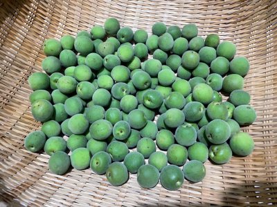 云南青梅什么时候成熟 云南青梅的成熟季节是什么时候？