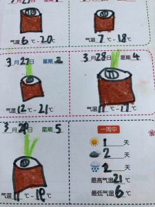 大蒜什么时候成熟 大蒜成熟的时间是什么时候？