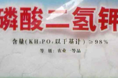 雨后月季喷施磷酸二氢钾吗 雨后月季施用磷酸二氢钾合适吗？