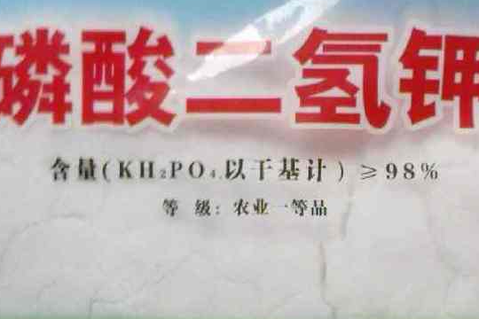 雨后月季喷施磷酸二氢钾吗