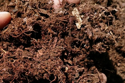 河沙可以用来给月季配土吗 月季适合使用河沙作为土壤吗？