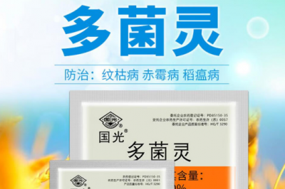 月季放多菌灵可以洒水吗 月季喷多菌灵后需要浇水吗？