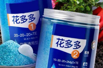 月季花期可以用三元复合肥吗 月季花生长期间可否使用三元复合肥？