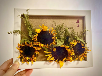 向日葵怎么做成干花？步骤是什么？