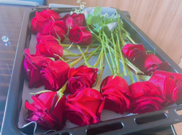 如何制作玫瑰干花并保持色彩