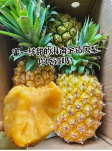 菠萝季节是几月份吃的？啥时候应季？