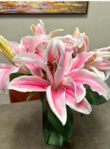 百合花蕊染色怎么洗掉？ 如何去除百合花蕊的染色？