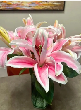 百合花蕊染色怎么洗掉