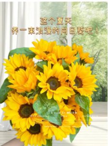 向日葵象征着什么精神品质的人？花语是什么？