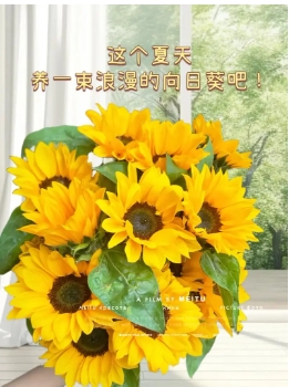 向日葵象征着什么精神品质的人