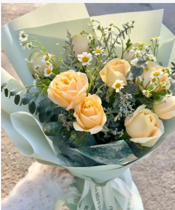 玫瑰花花语大全寓意是什么