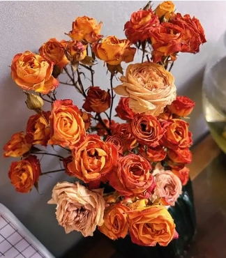 玫瑰干花怎么做颜色不褪色
