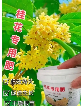 养花缓释肥和复合肥哪个好用一点