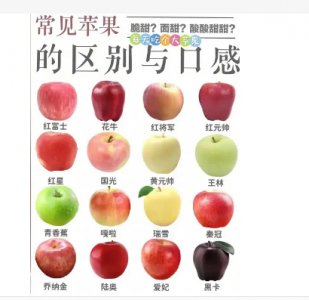 苹果品种有哪些品种？最好吃的是什么品种？