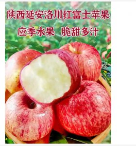苹果是什么季节的水果？哪个品种最好吃？