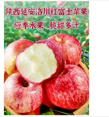 苹果是什么季节的水果