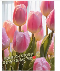 郁金香的象征意义是什么？有哪些含义？