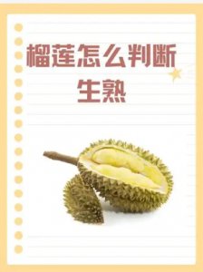 榴莲成熟需要几年才能结果？怎么判断是否成熟？