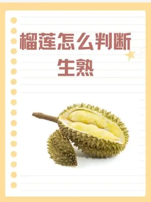 榴莲成熟需要几年才能结果