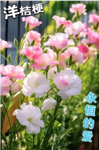 哪种花象征着永恒不变的爱？ 什么花代表永恒的爱至死不渝？