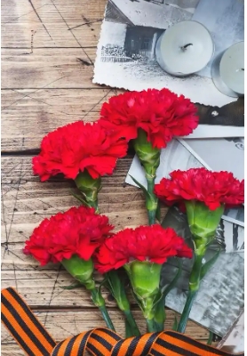 红康乃馨是花语是什么