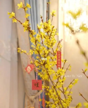 寸寸金的寓意和象征是什么