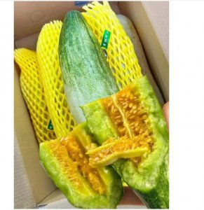 羊角蜜与香瓜的区别是什么？ 羊角蜜是香瓜吗？有啥区别？