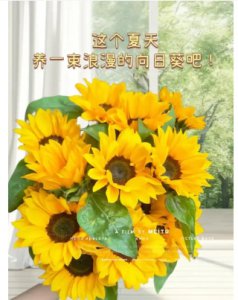 1-10朵向日葵花语是什么？有什么寓意？
