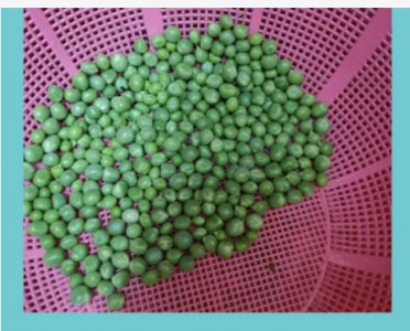 黄豆和豌豆的区别是什么？如何分辨？