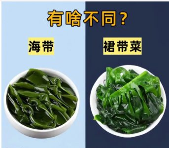 海藻和海带的区别是什么？营养价值一样吗？