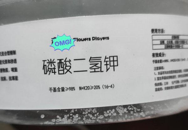 几月给君子兰施磷酸二氢钾