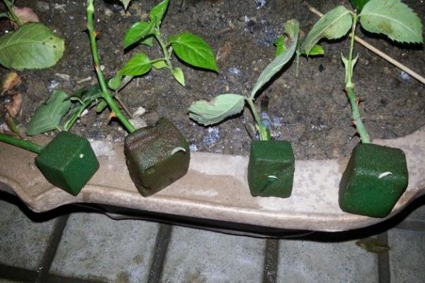插鲜花用的海绵泥有什么用