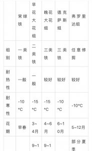 铁线莲耐寒吗？ 铁线莲怕冷吗怕冻吗