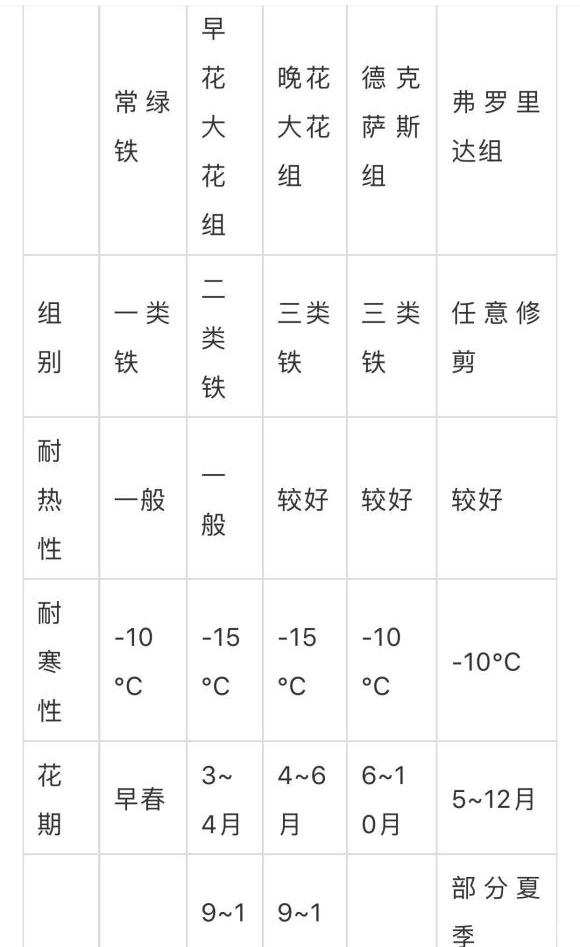 铁线莲怕冷吗怕冻吗