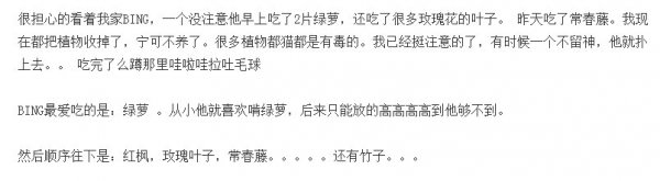 金边虎尾兰对猫有毒吗
