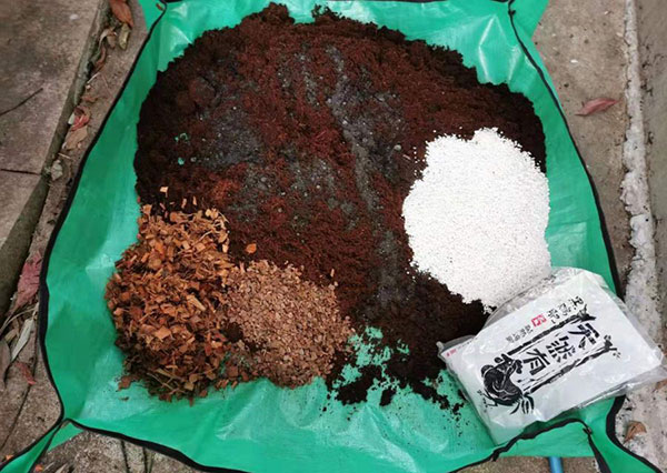 最简单的花土怎么配