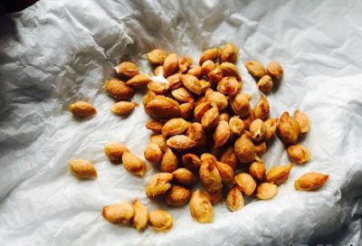 樱桃种子催芽方法 樱桃种子怎么发芽（催芽）