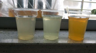 柠檬酸与硫酸亚铁的使用方式 柠檬酸和硫酸亚铁的使用方法