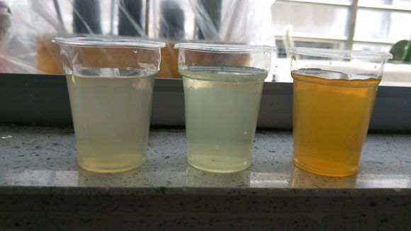 柠檬酸和硫酸亚铁的使用方法