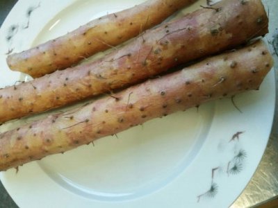 山药和牛蒡的区别（图片） 山药与牛蒡的区别（含图片）