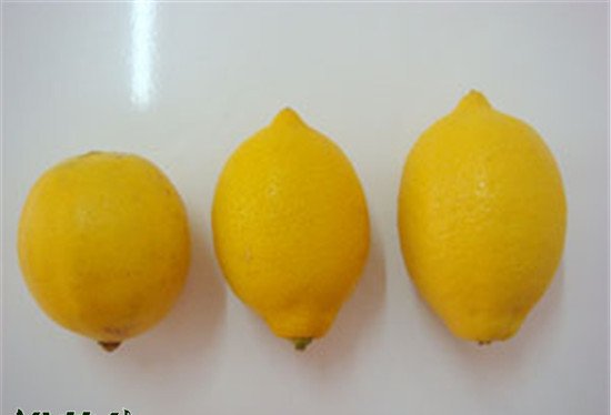 柠檬品种介绍